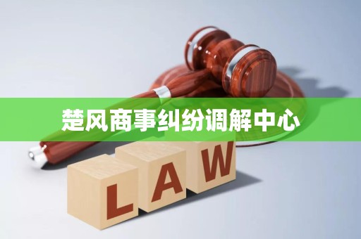 楚風(fēng)商事糾紛調(diào)解中心破產(chǎn)清算服務(wù) 專業(yè)、高效、公正的債務(wù)解決方案