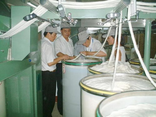 棉麻廠的落日 一個老工人的歲月記憶