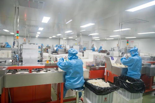 博興破產服務案例 債務化解與企業重生之路