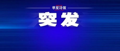 中植集團申請破產(chǎn)清算獲法院受理，破產(chǎn)清算服務(wù)啟動
